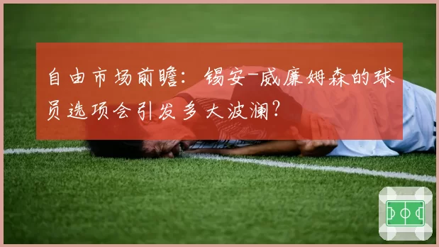 自由市场前瞻:锡安-威廉姆森的球员选项会引发多大波澜?